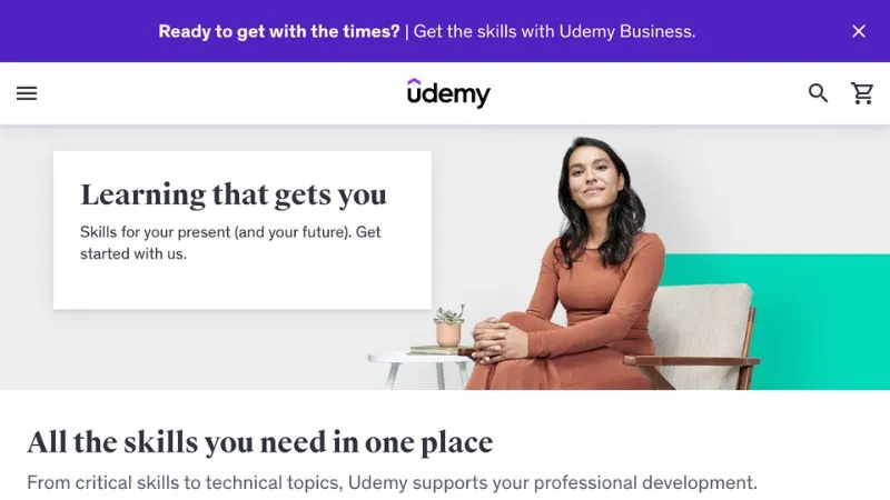 Udemy Platform Screenshot